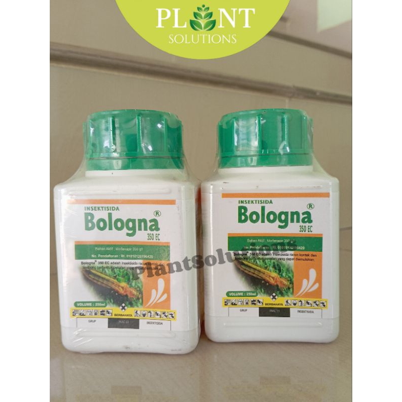 Insektisida Bologna 350EC 250ML Ampuh Mengendalikan Serangga