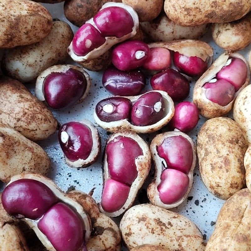 

Kacang Polong Bogor 1 KG