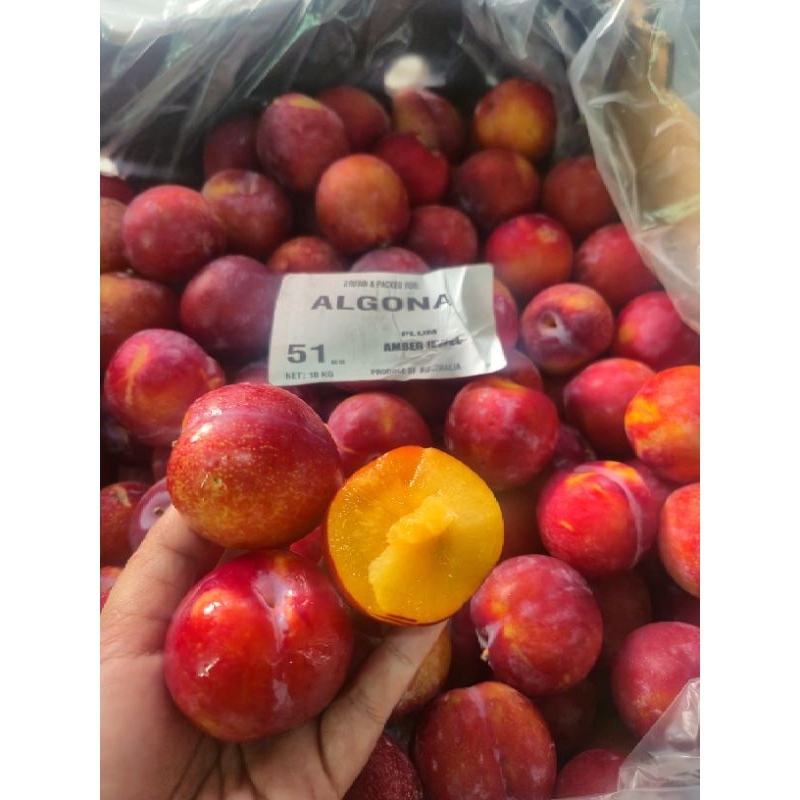 

plum ausy Algona kemasan 9.5kg