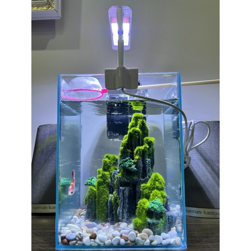 Sellyliavitaliavita Aquarium Aquascape Komplit Cupang, Molly, Guppy, Mas Koki, Glofish, Glowfish,