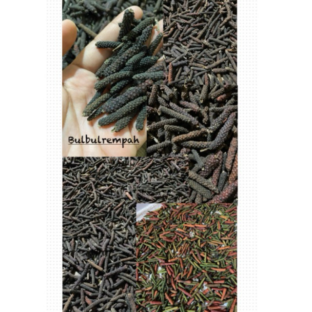 

cabe jawa kering