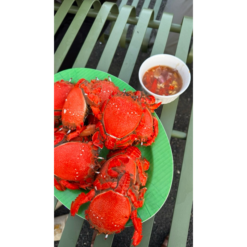 

Kepiting Ranina / Spanner Crab / Kepiting katak merah