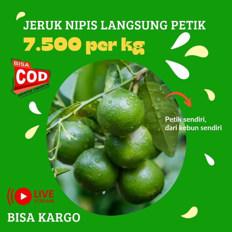 

Jeruk Nipis Fresh Murah Meriah Langsung Dari Petani