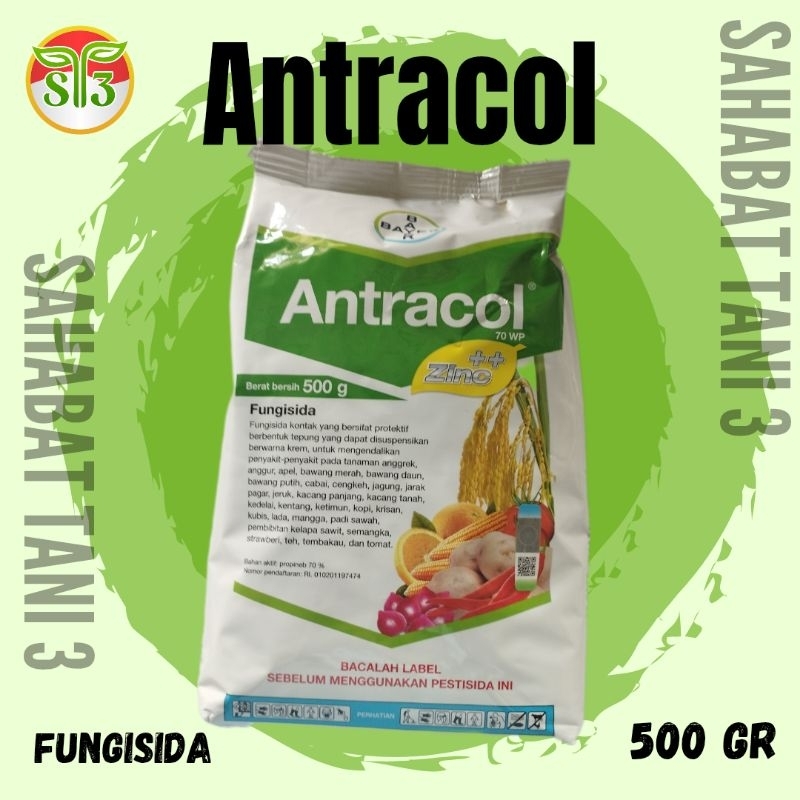 ANTRACOL 70WP 500 GRAM | Fungisida Bayer | Fungisida Kontak