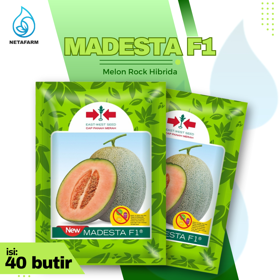 Benih Biji Bibit Melon New MADESTA F1 Cap Panah Merah