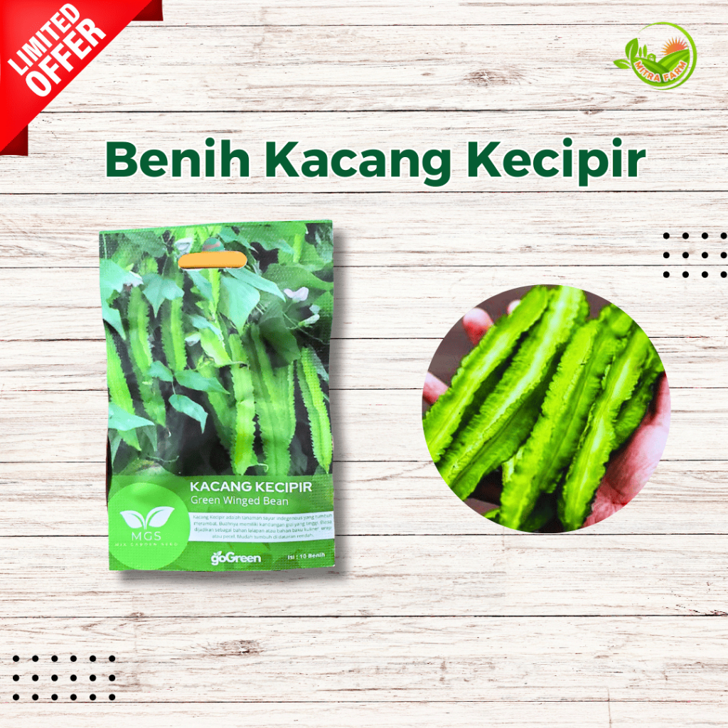 Benih Kacang Kecipir/Benih Kecipir Green Winged BeanMurah/Benih Kacang Kecipir Murah