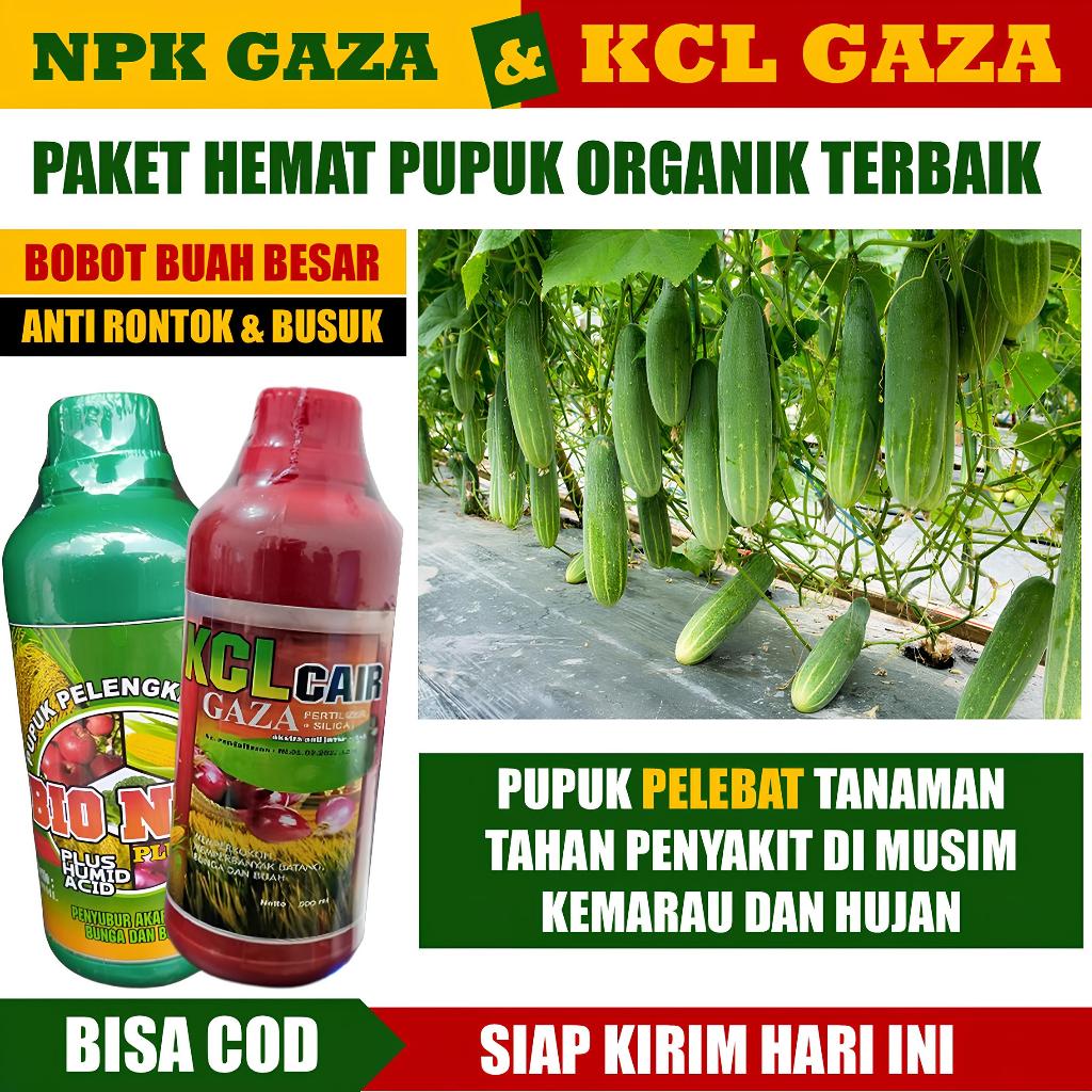 NPK GAZA & KCL GAZA Paket Pupuk Terbaik Booster Buah Timun Pupuk Pembesar Buah Timun - Pupuk NPK Cai