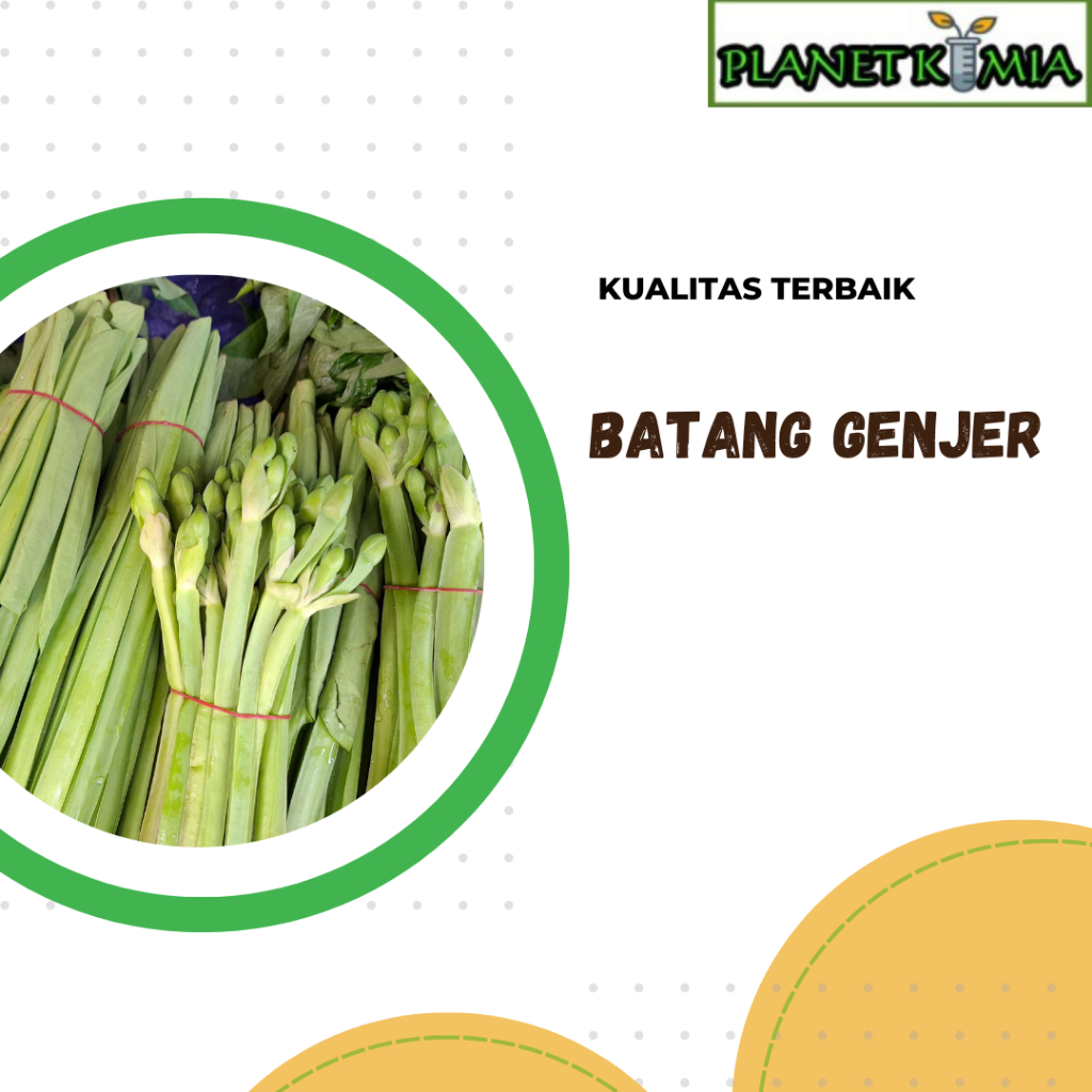 

dried,serbuk batang genjer best product