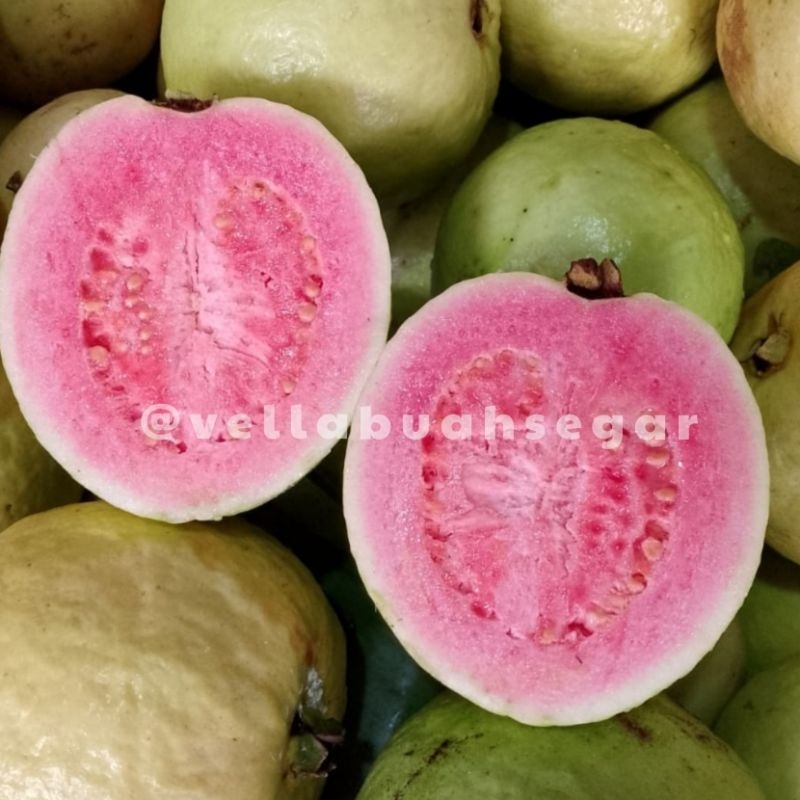 

[INSTAN/SAMEDAY] Jambu Biji Merah Guava Tinggi Vitamin C 1kg