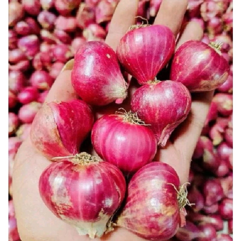 

Bawang merah super 1kg lokal asli Madura