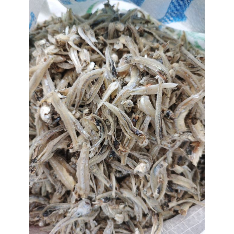 

Ikan Teri Belah Teri Jengki Teri Batubara