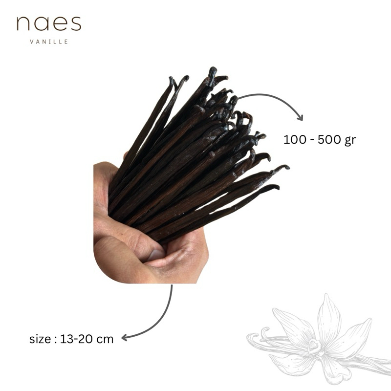 

Vanilla Beans Gourmet 100gr - 500 gr