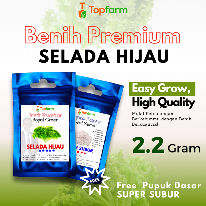 Benih Topfarm / Benih Seladah Keriting / Benih Selada Bokor / Benih Selada Hijau / Benih Selada Terb