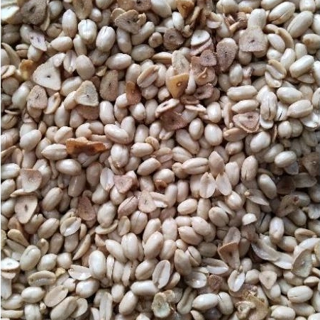 

Kacang bawang renyah gurih fresh 1kg
