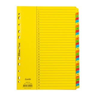 

BANTEX CARDBOARD DIVIDER & INDEXES A4 1-31 (31 PAGES)