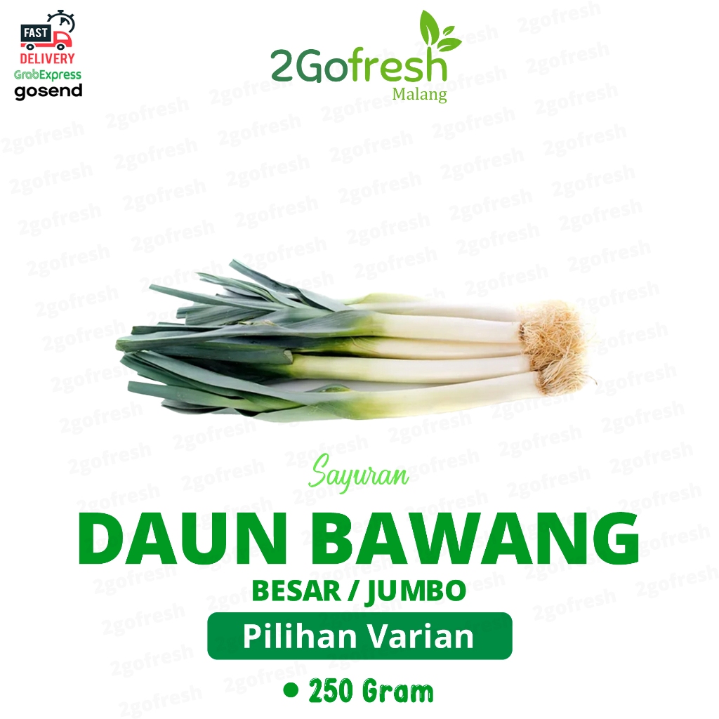

Daun Bawang Besar / Pre Jumbo Martabak Fresh - Sayur Sayuran