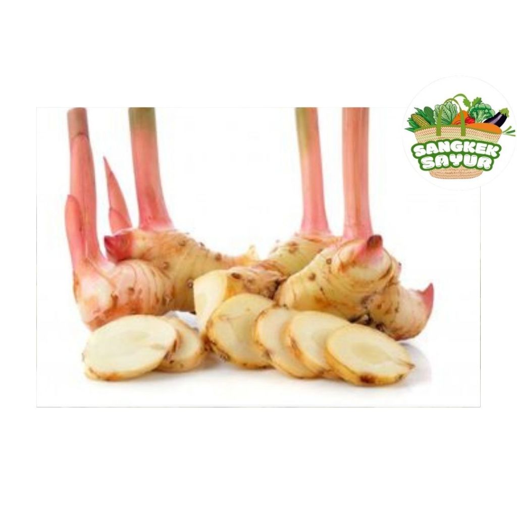 

Lengkuas/Laos - sangkek.sayur Palembang