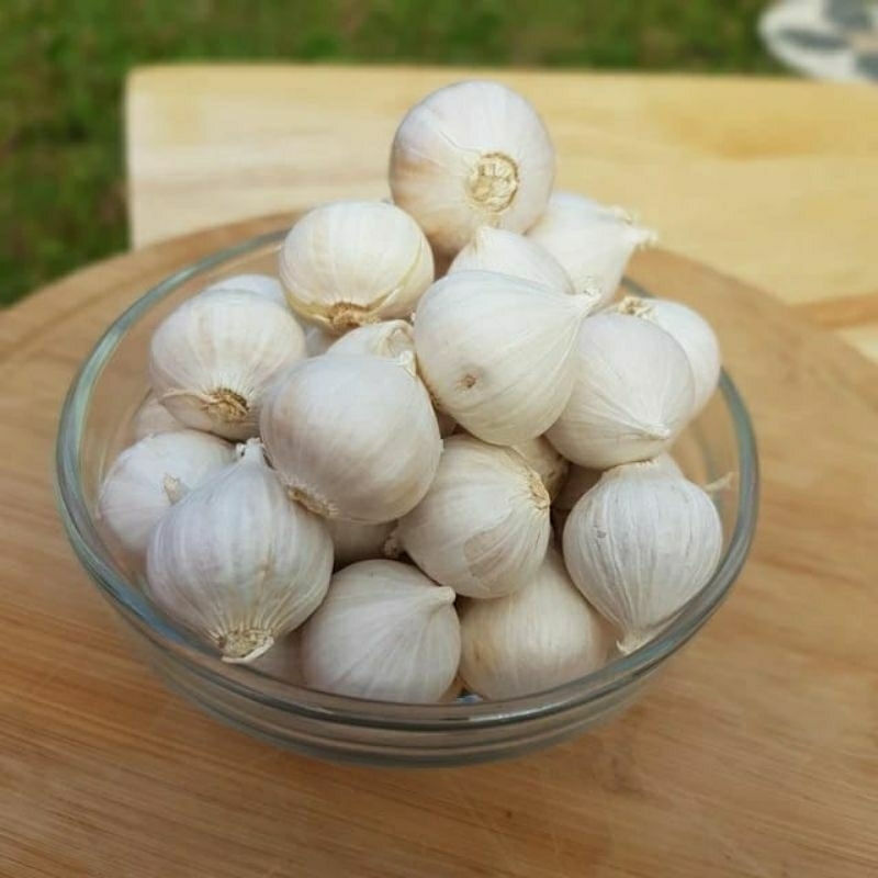 

Bawang putih tunggal/lanang putih super 1kg