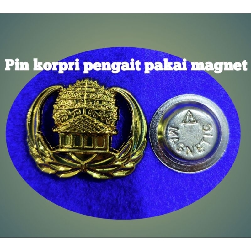 PIN KORPRI/PIN ASN/PIN PNS