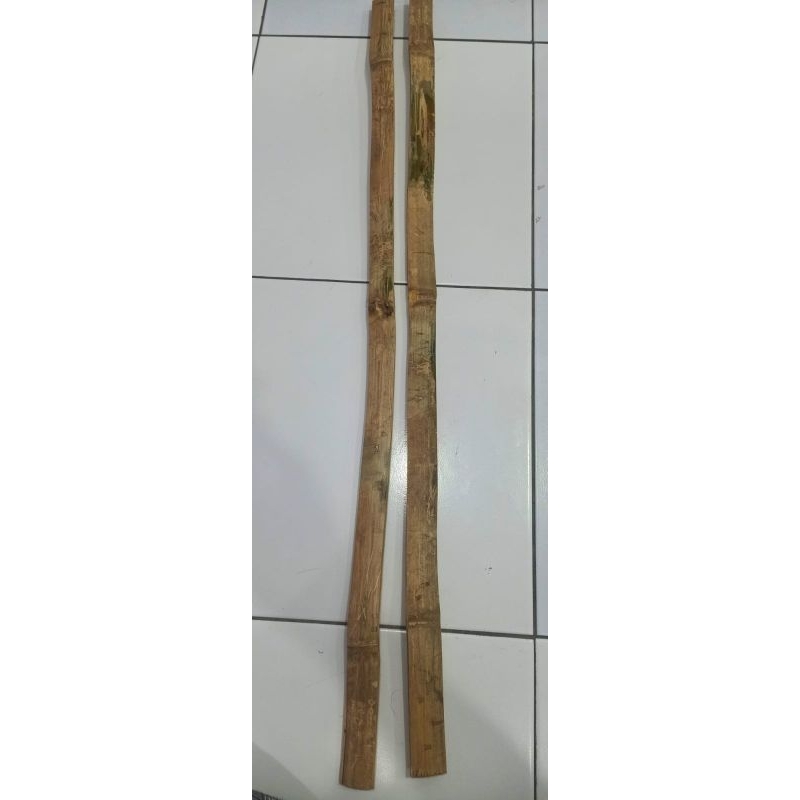 Bambu Bilah 1.5 m (Bambu ori/Bambu duri)