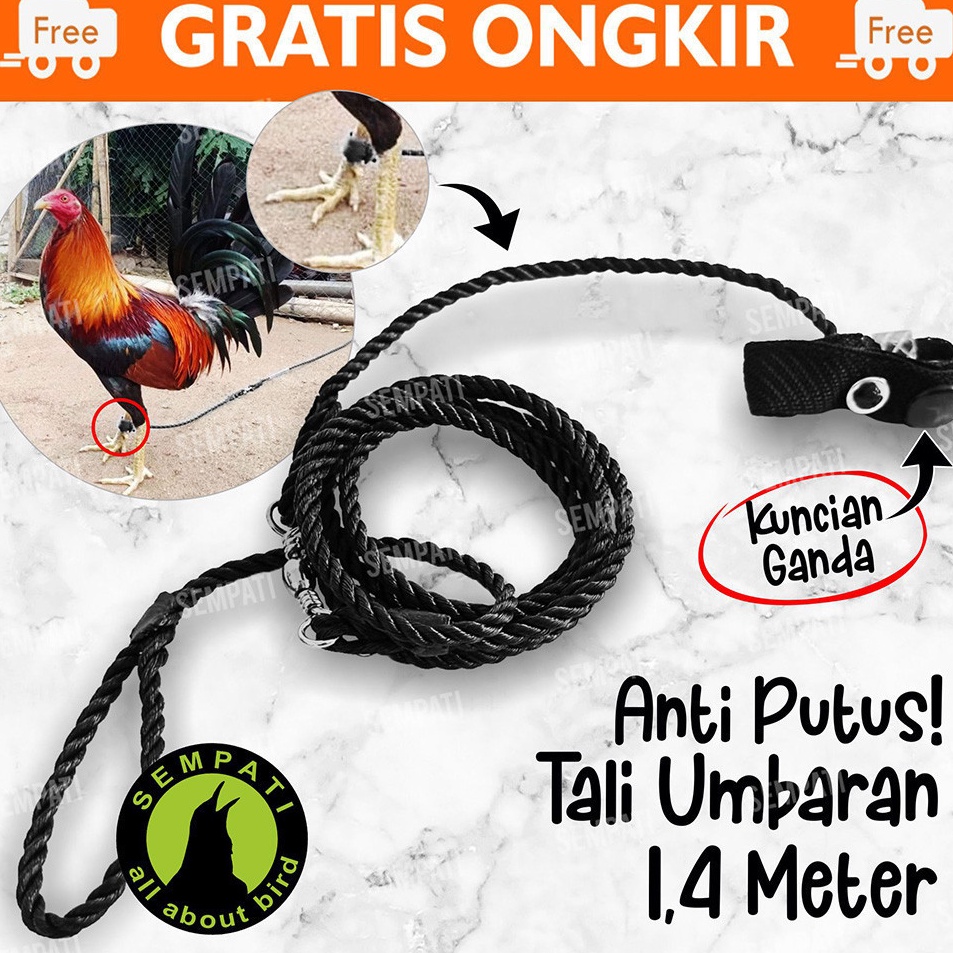 Ready Hari Ini  Tali Kaki Ayam Tali Tambat Tali Umbaran Kaki Ayam Jago Bangkok Jantan Petarung Aduan