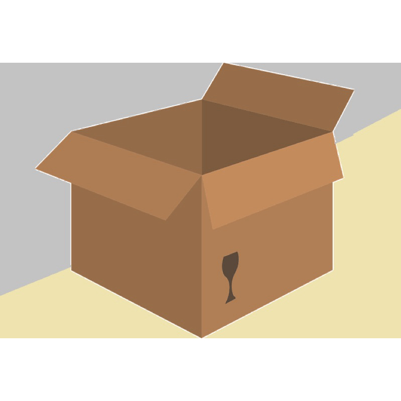 

EXTRA PACKAGING (DUS BOX)