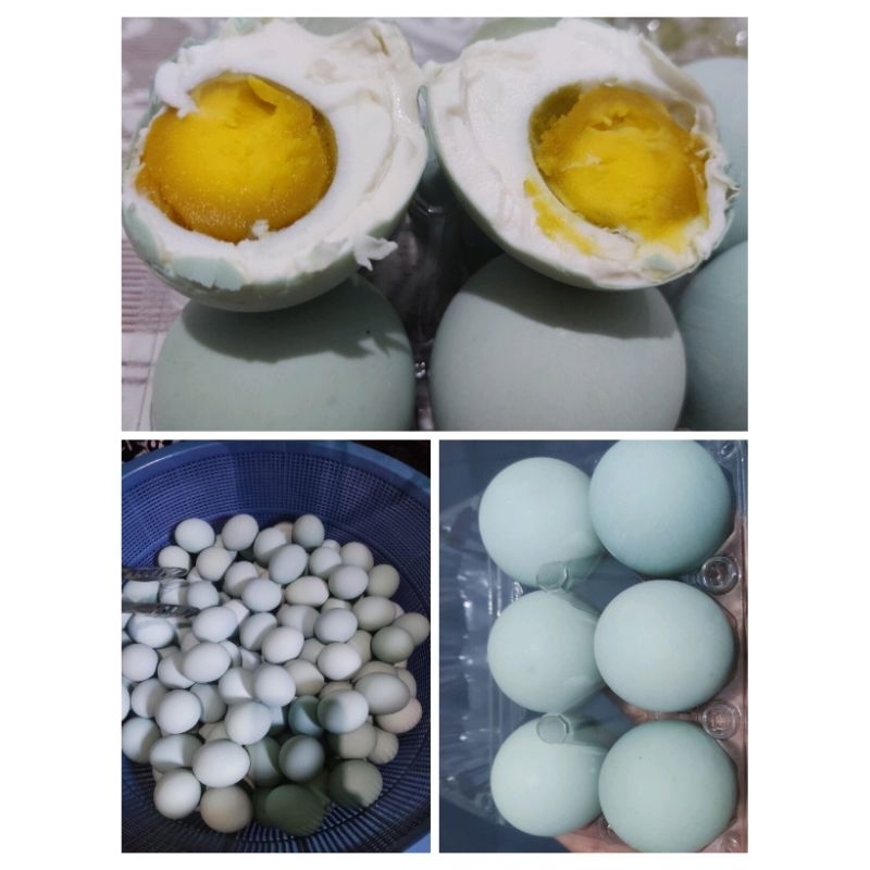 

paket 6 telur bebek asin matang siap makan // kuning telur berminyak // telur murah // ecer/grosir