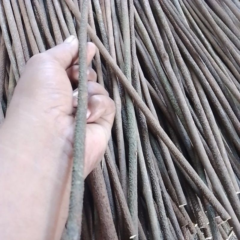 TANGKRINGAN ASEM BALI CUCAK IJO SUPER