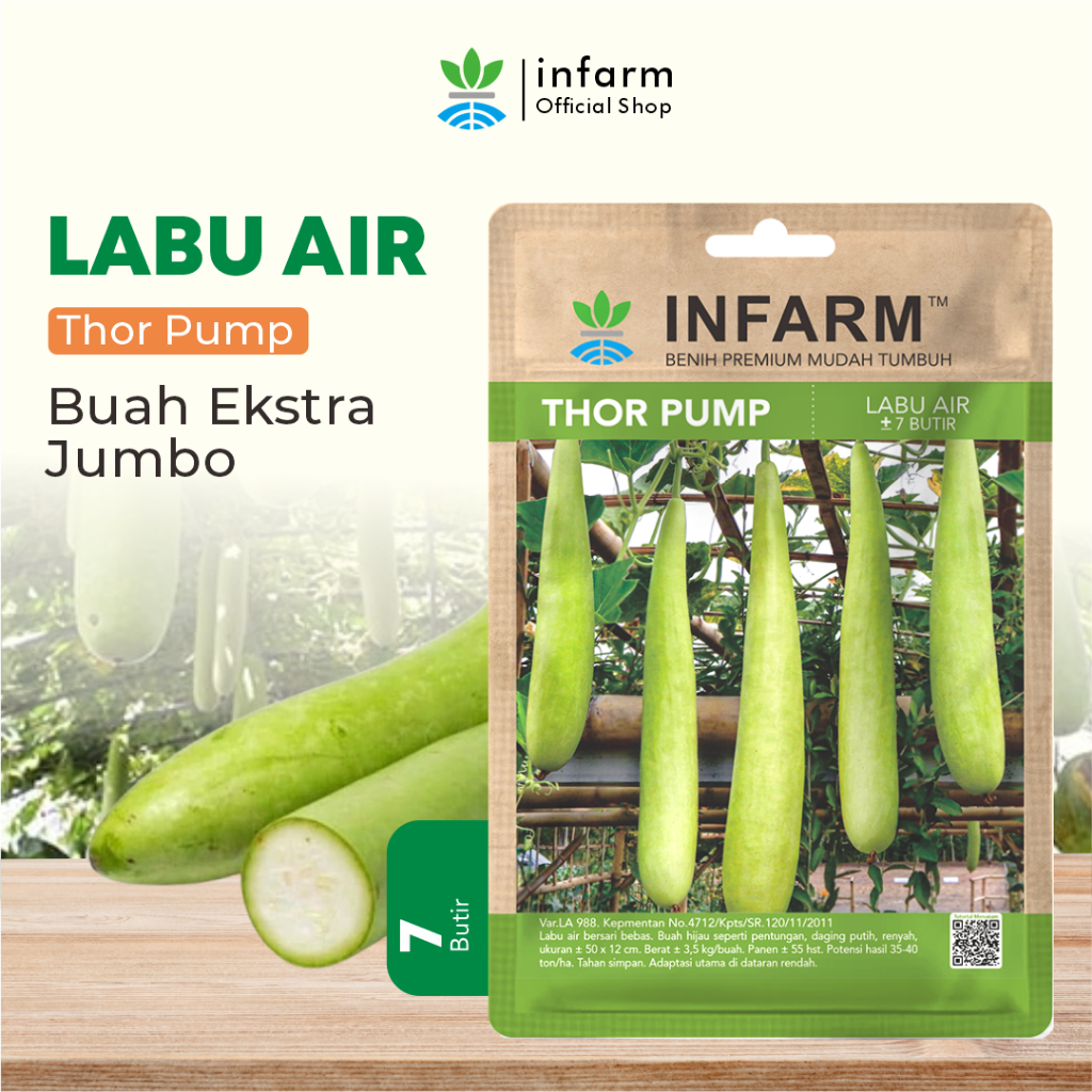 INFARM - Benih Unggul Sayur Daun Labu Air Tanaman Berkualitas Benih Bibit Labu Air Unggul Benih