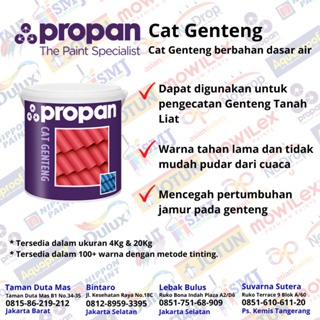 CAT GENTENG PROPAN TINTING 4 KG