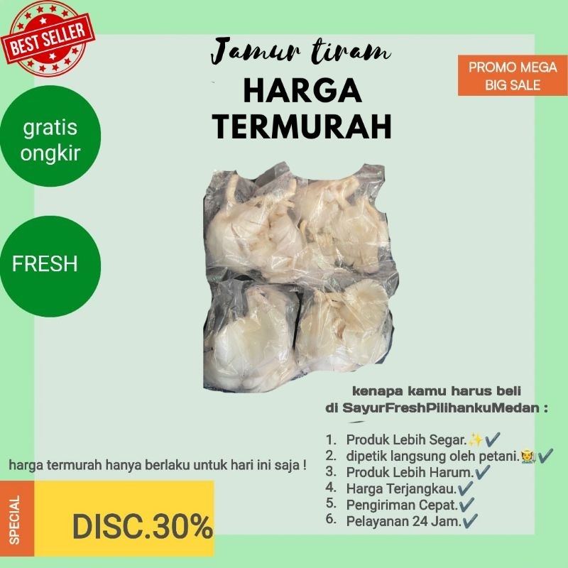 

promo termurah jamur tiram putih lebih segar dan lebih sehat,bersih & enak dipanen langsung |ready stok siap kirim gratis ongkir