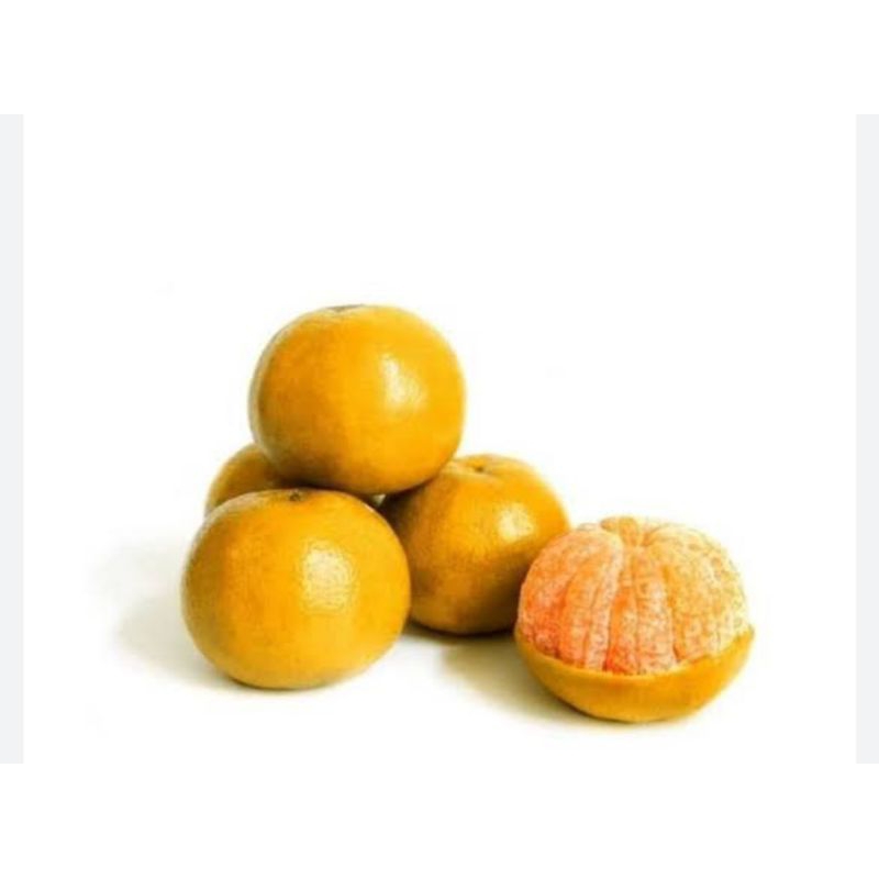 

Jeruk Siam Madu Malang