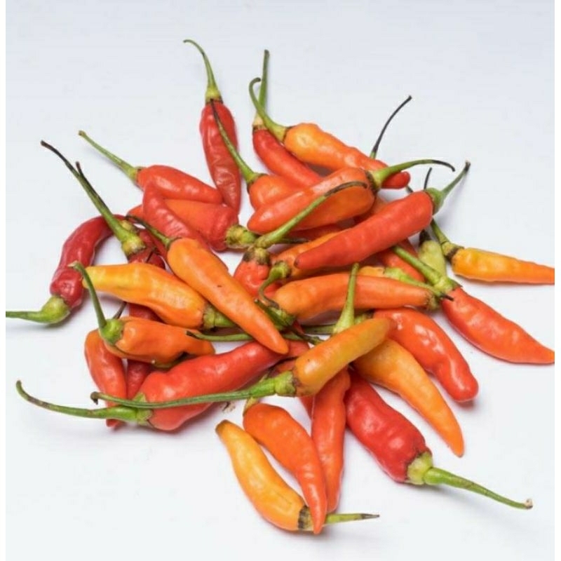 

cabe rawit merah 1bks