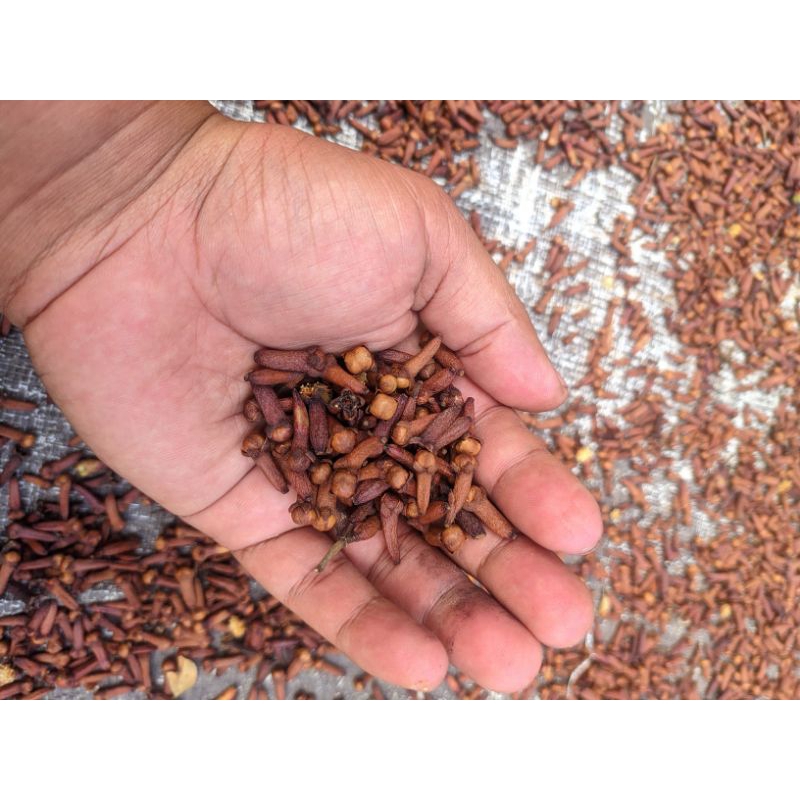 

Cengkeh kering 250gram