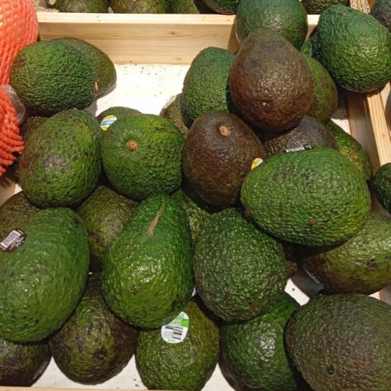 

Alpukat Hass Avocado Has Aussie segar 1kg fresh