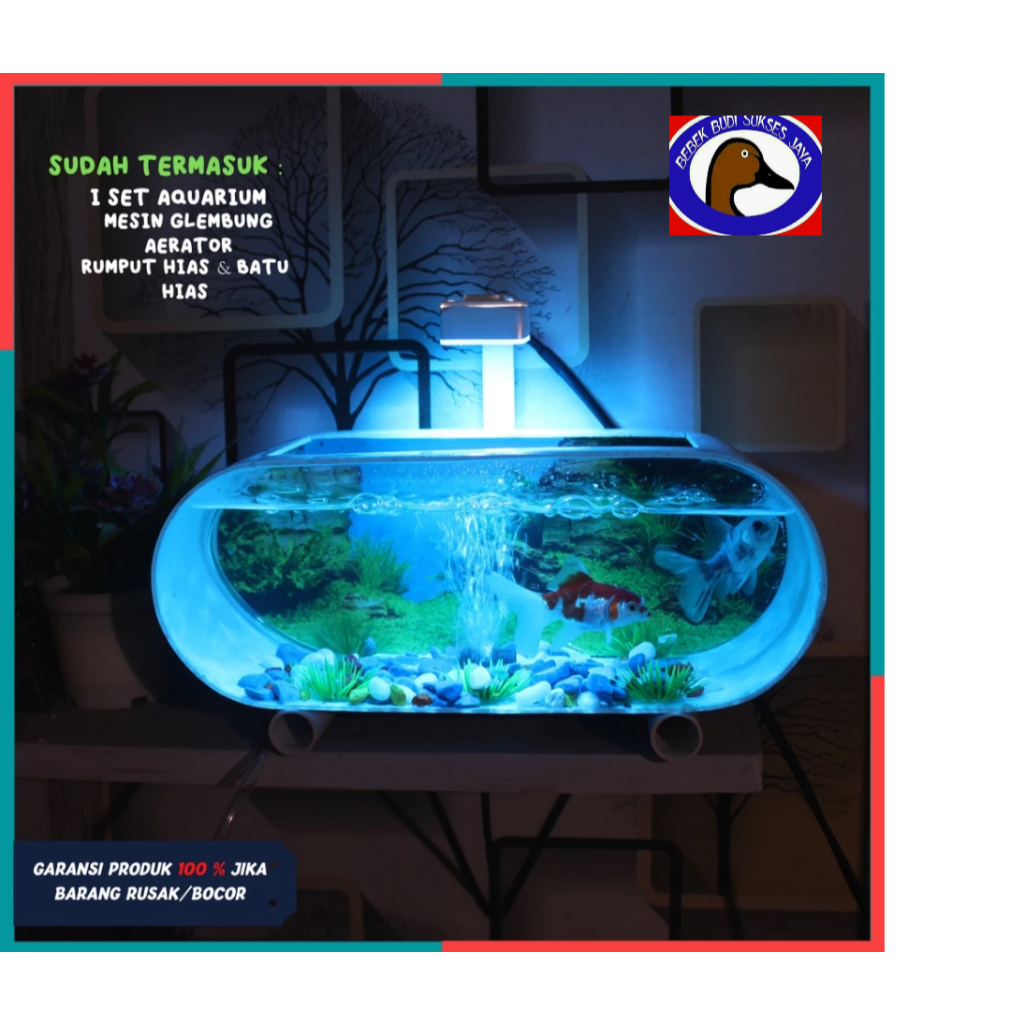 AQUARIUM VIRAL MINIMALIS 1 SET AQUARIUM MINI PVC PLUS POMPA AERATOR DAN LAMPU LED AKUARIUM CUPANG GU