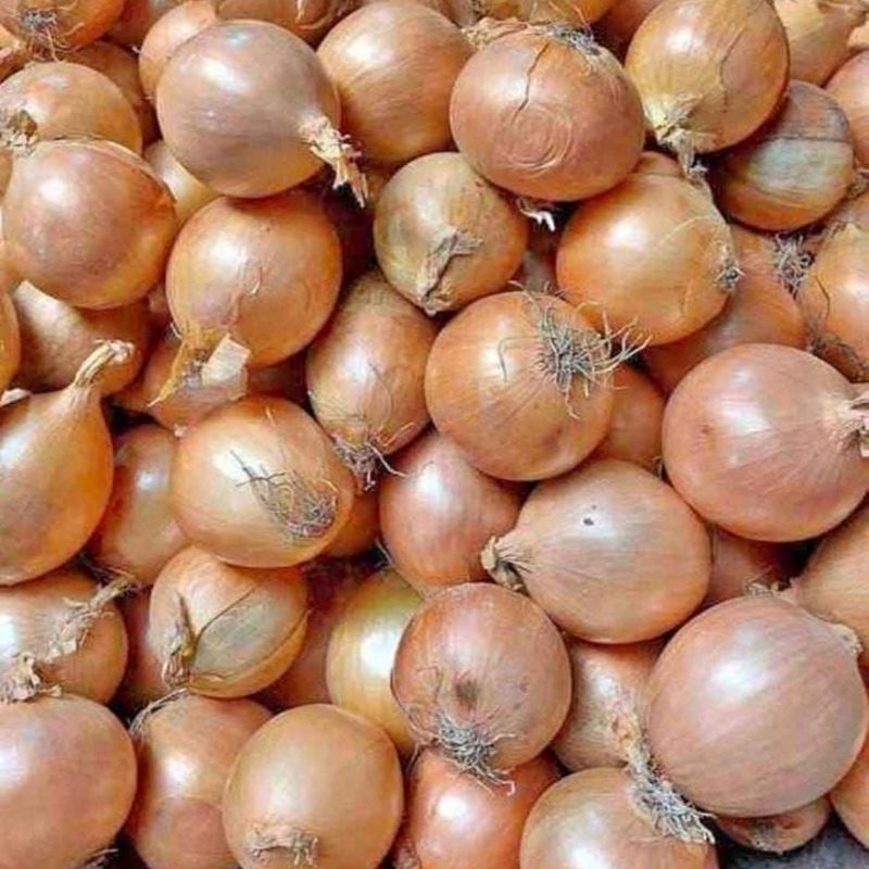 

Bawang Bombay 50/60(KECIL) fresh 1kg