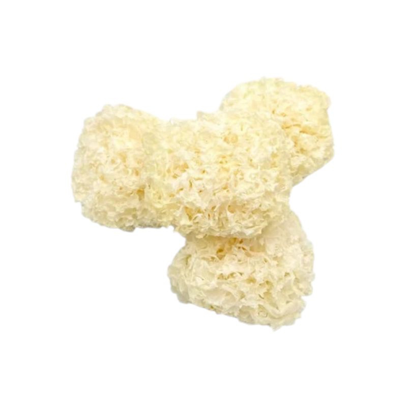

Jamur Putih Kering Bai Mu Er White Fungus 1 Buah 30gr g