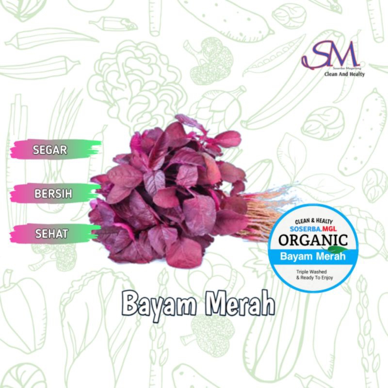 

Bayam merah murah terlaris
