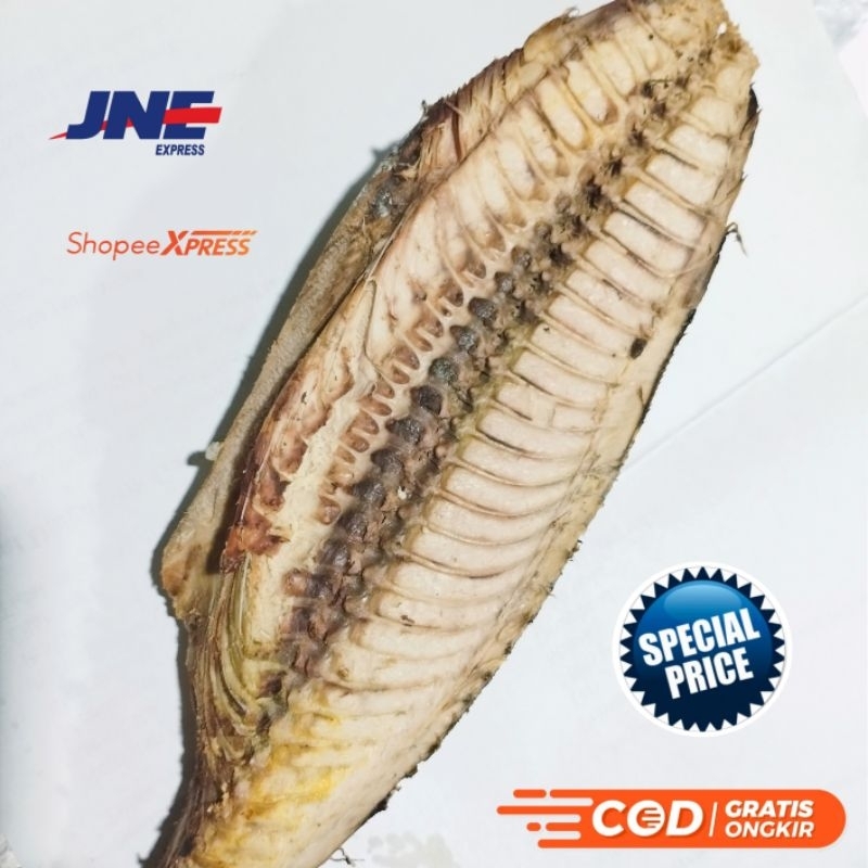 

IKAN CUE TONGKOL Fresh/Ikan potong/utuh 10.000/pack