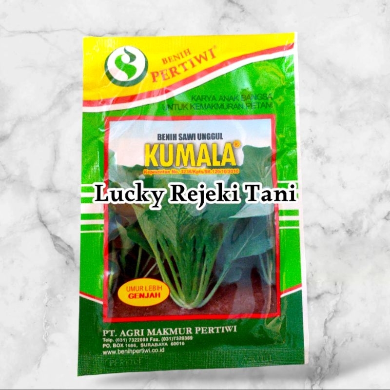 Benih sawi kumala