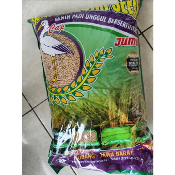 Benih Padi Unggul Bersertifikat Ciherang Jumbo Super Seed 5 kg