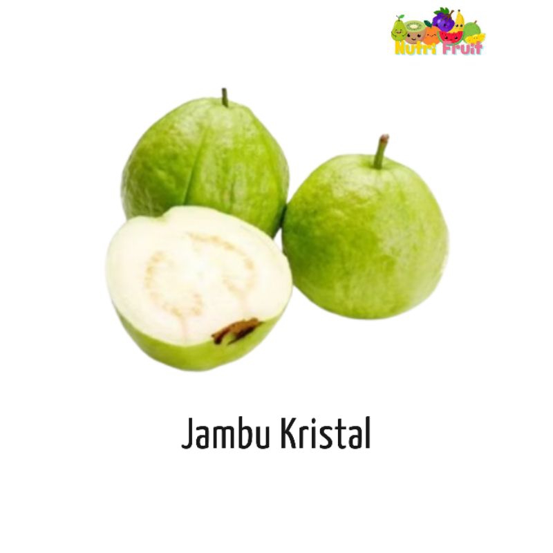

NUTRI FRUIT - JAMBU KRISTAL FRESH BANDUNG