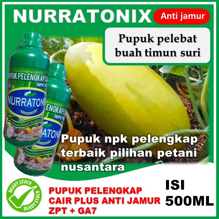 PROMO COD pupuk pelebat terbaik tanaman timun suri plus GA7&ZPT ANTI JAMUR pupuk timun suri terbaik
