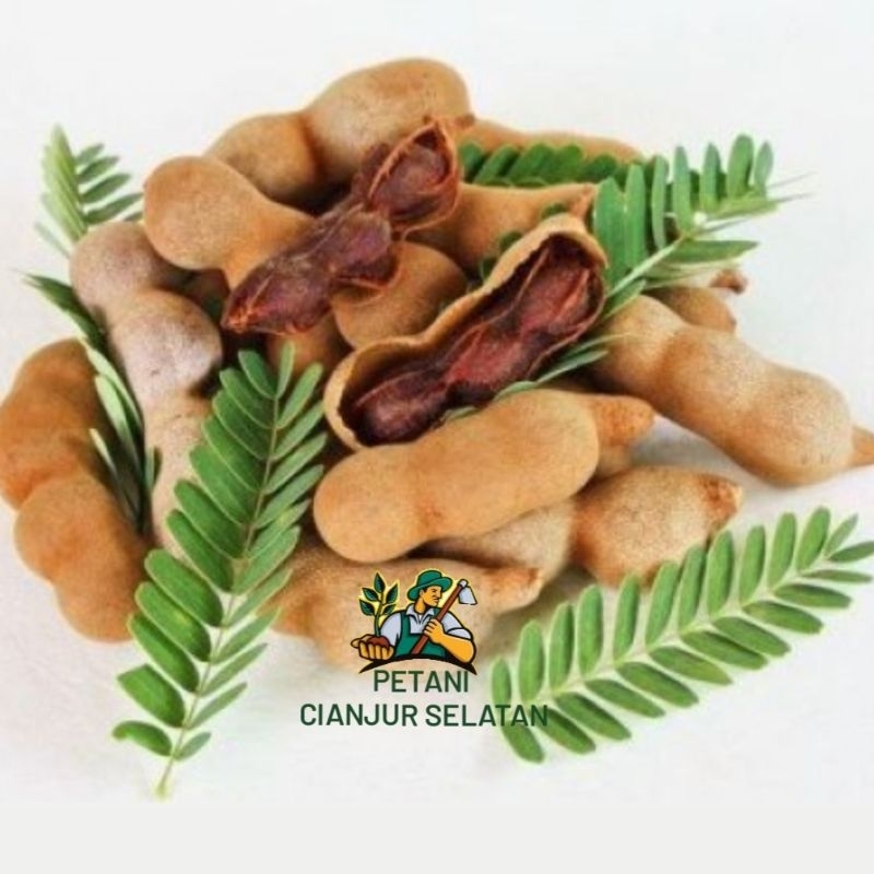 

Asam Jawa 1Kg | Asem Jawa | Rempah Dapur Fresh Segar | Original Tanpa Campuran