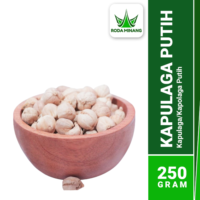

Kapulaga Putih White Cardamon Kapolaga Lokal Kapol Bal Dou Kou 250 Gram