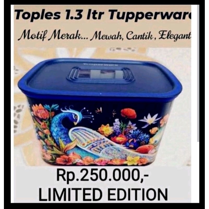 Fortune Bird Baseline  Tupperware ( FREE Bubble Warp )