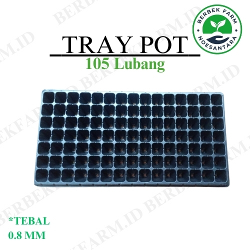 Trai Semai 105 Lubang Tebal / Tray Pot 105 Hole