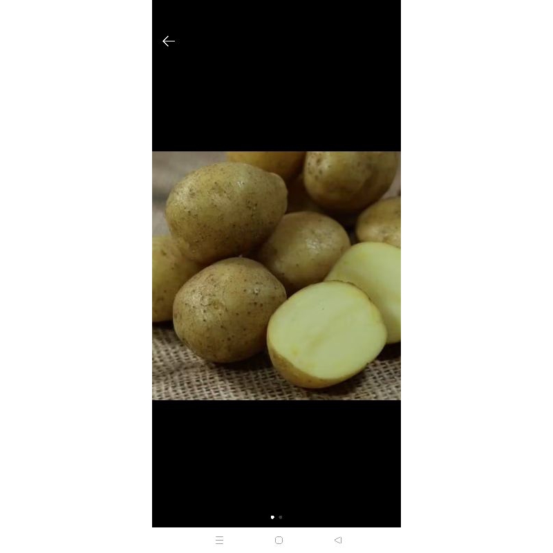 

KangSayur - Sayuran Segar KENTANG Kiloan