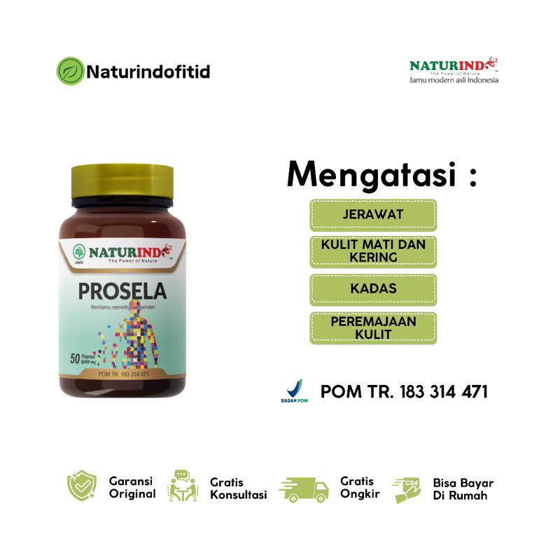 Obat Herbal Jamu Penghilang Bekas Luka Jerawat Ketombe Bisul Koreng Bopeng Naturindo Fit Prosela